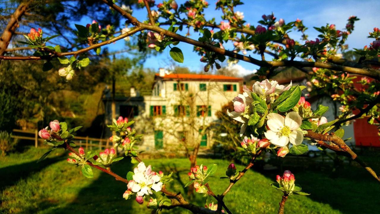 B&B Tre Ponti Castiglione Chiavarese Zewnętrze zdjęcie